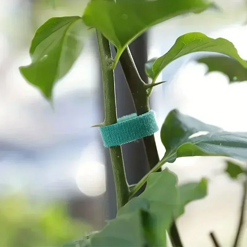 1/100 メートル調整可能な自己粘着植物ナイロンケーブルタ - Gear Tie Reusable のレビューと価格